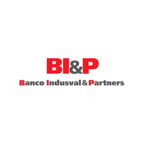 logo-2-bip