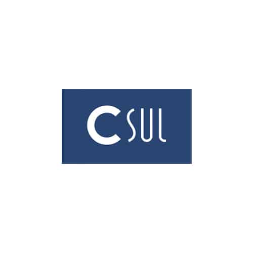 logo-2-csul