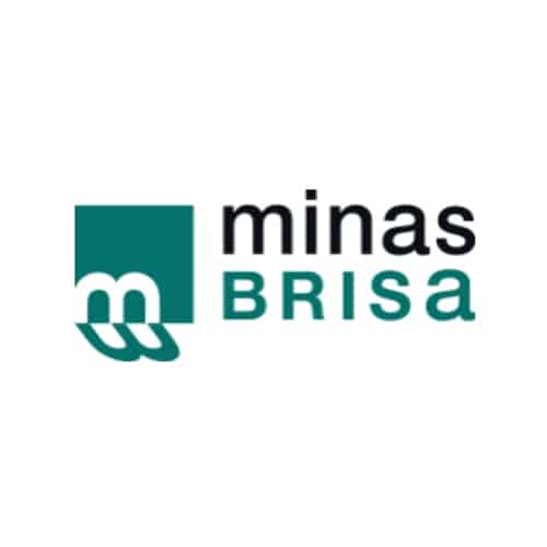 logo-2-minasbrisa