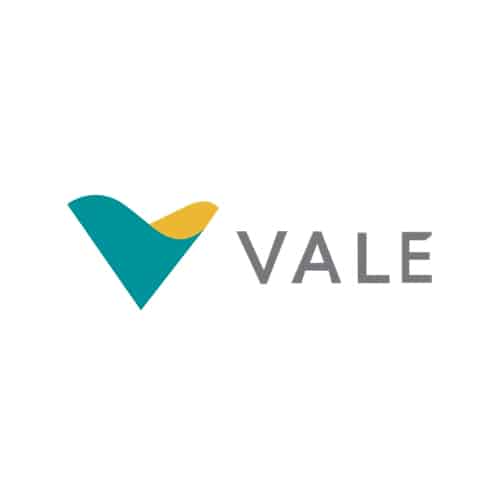 logo-2-vale